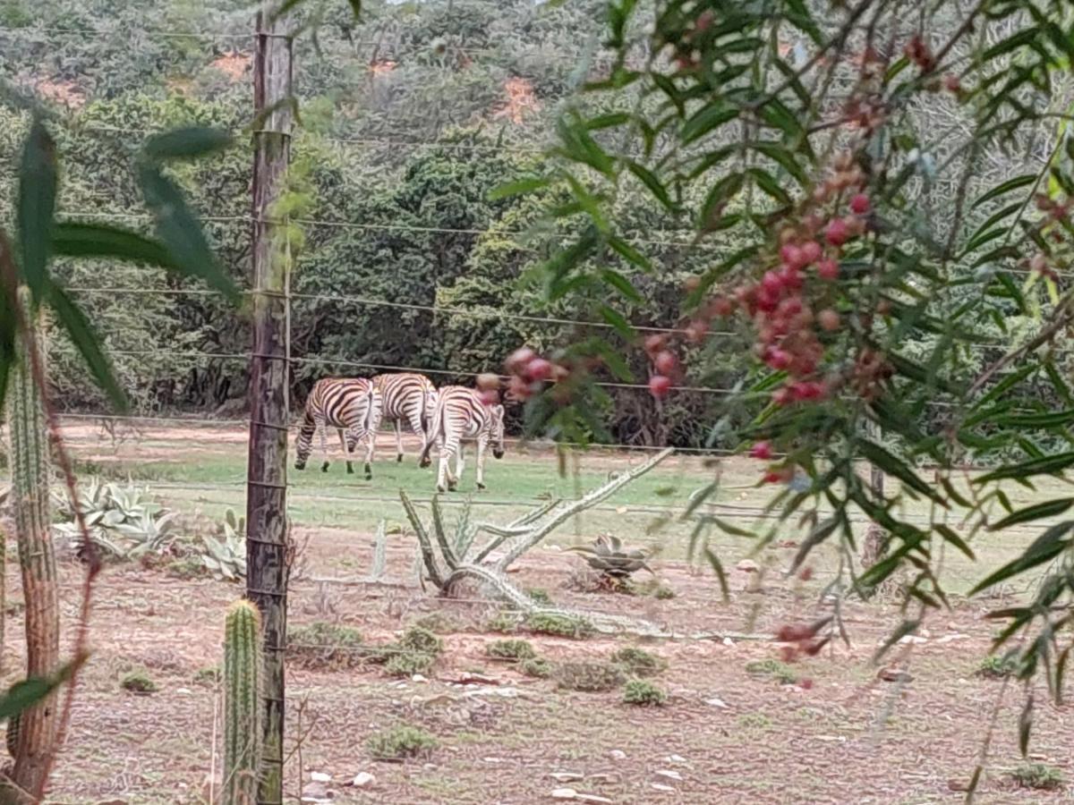 Harmony Luxury Tents & Safari Addo Exterior foto