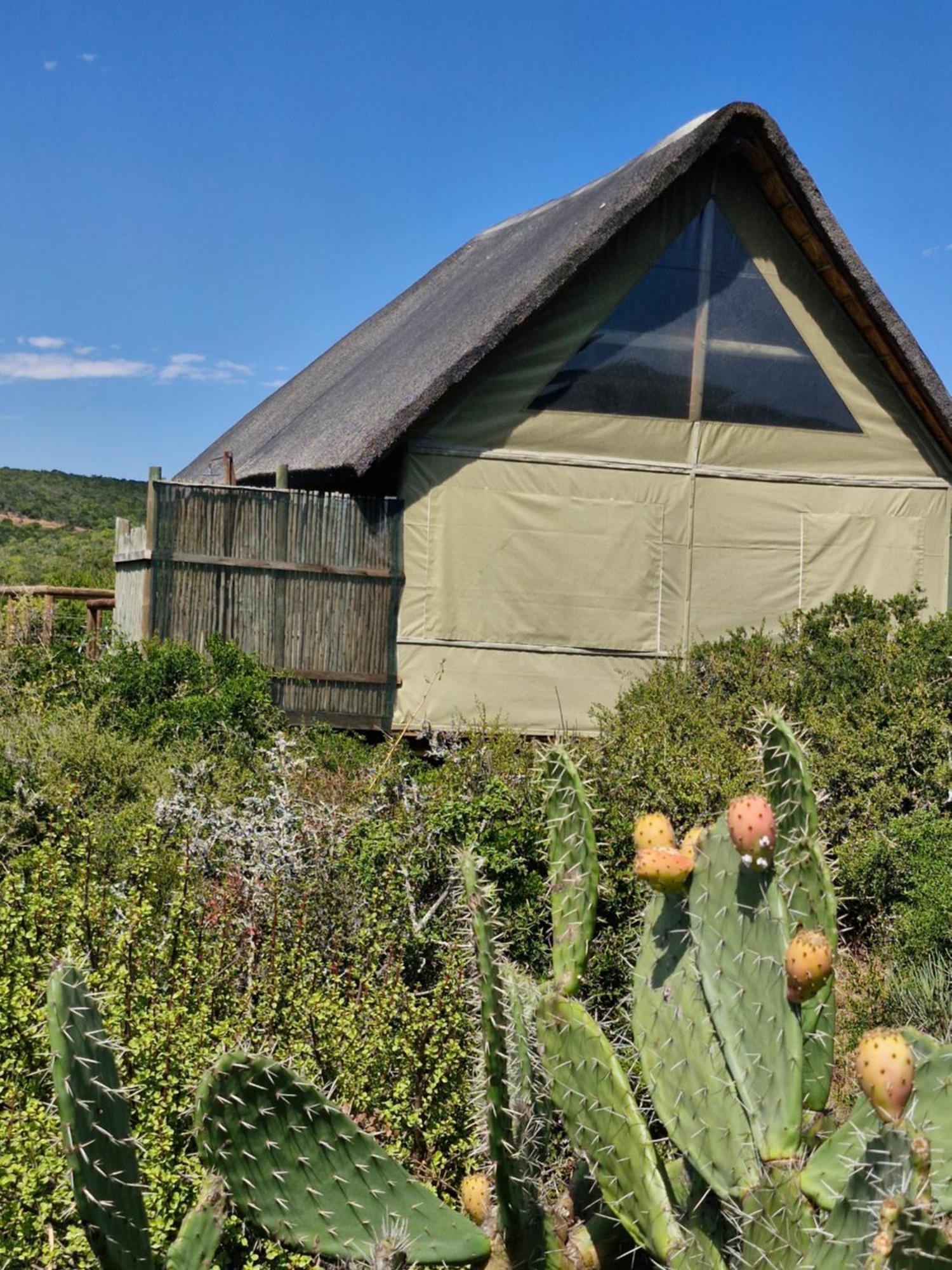 Harmony Luxury Tents & Safari Addo Exterior foto
