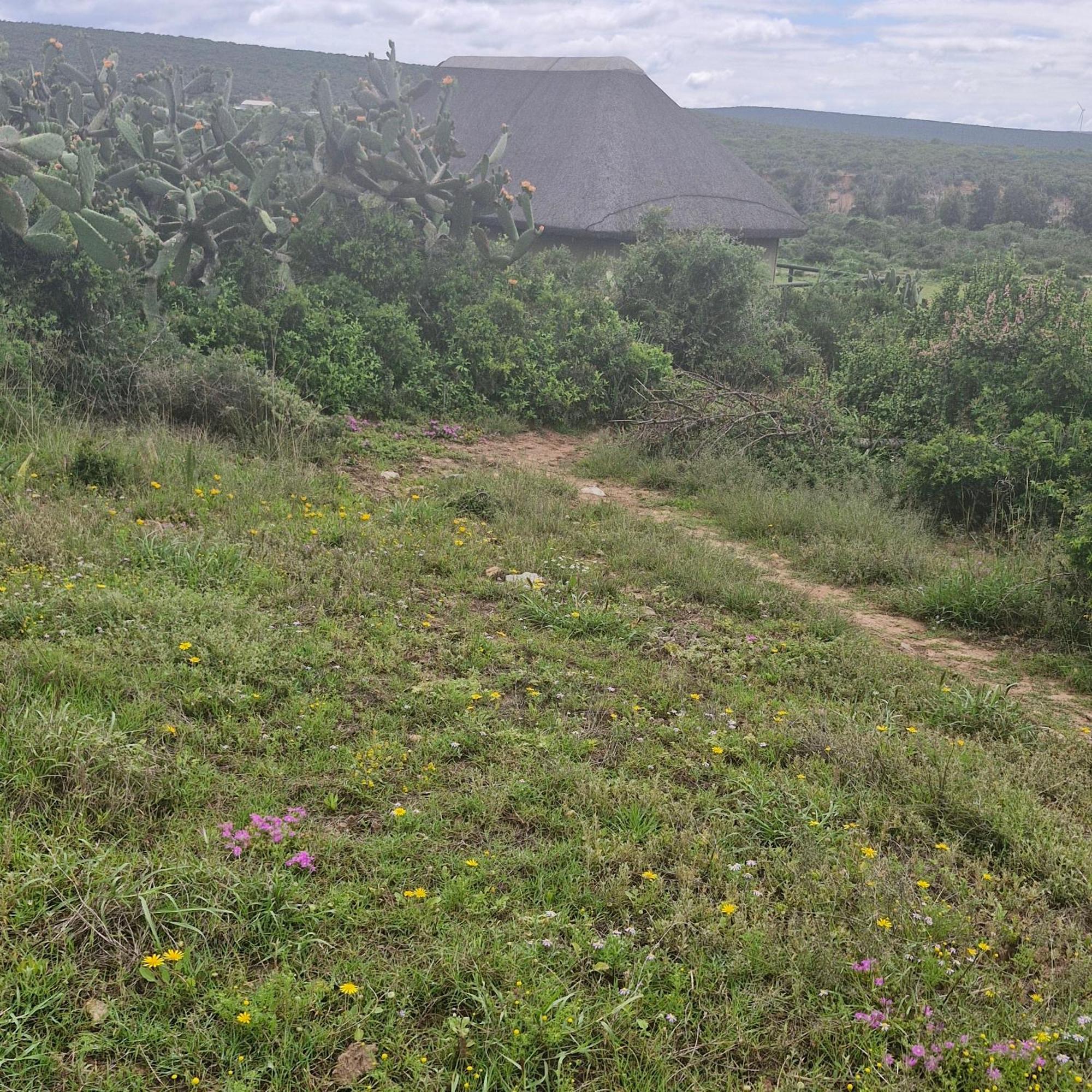 Harmony Luxury Tents & Safari Addo Exterior foto