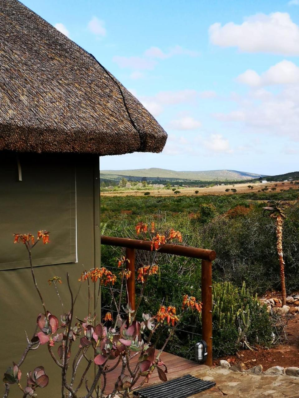 Harmony Luxury Tents & Safari Addo Exterior foto