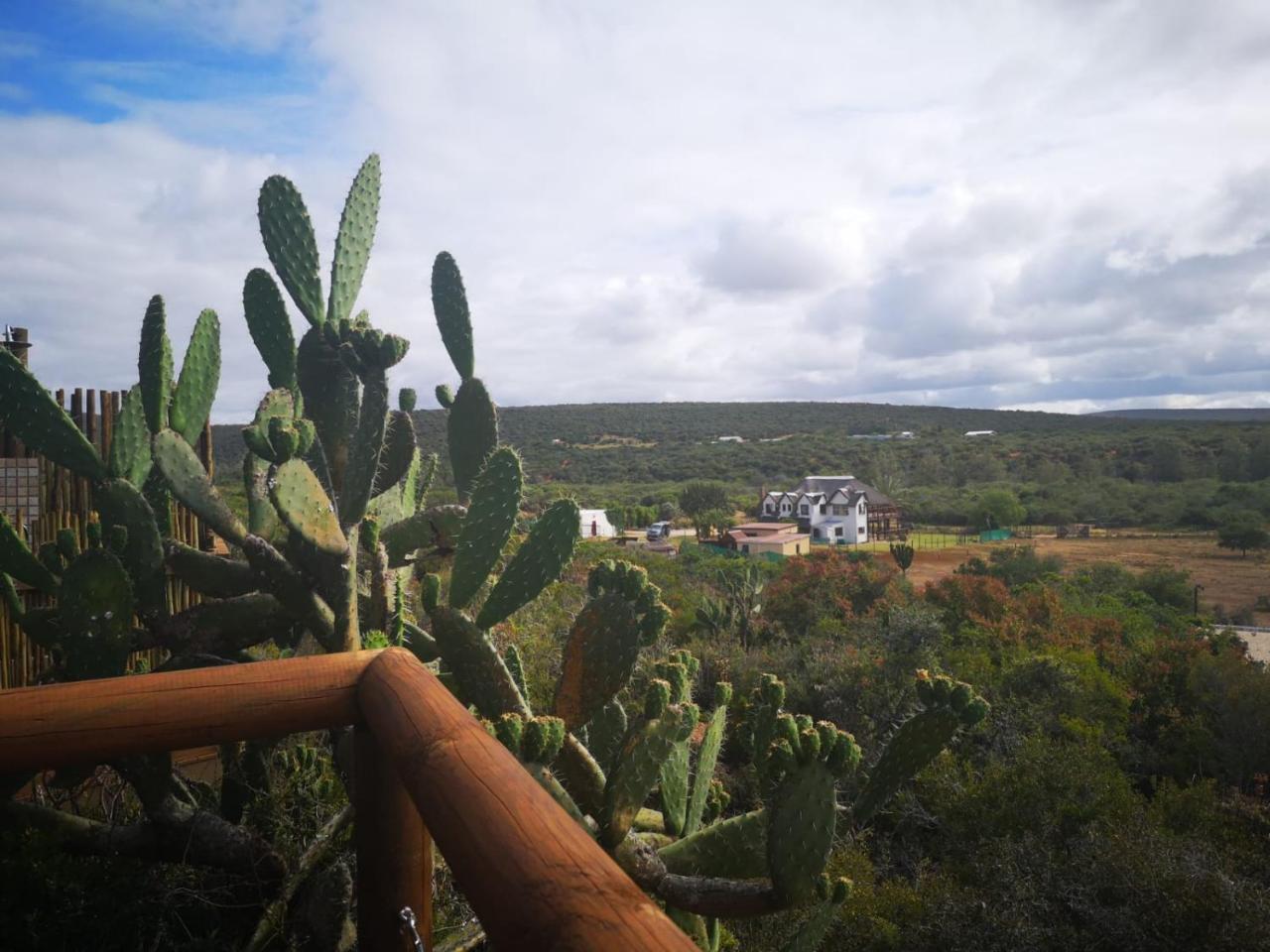 Harmony Luxury Tents & Safari Addo Exterior foto