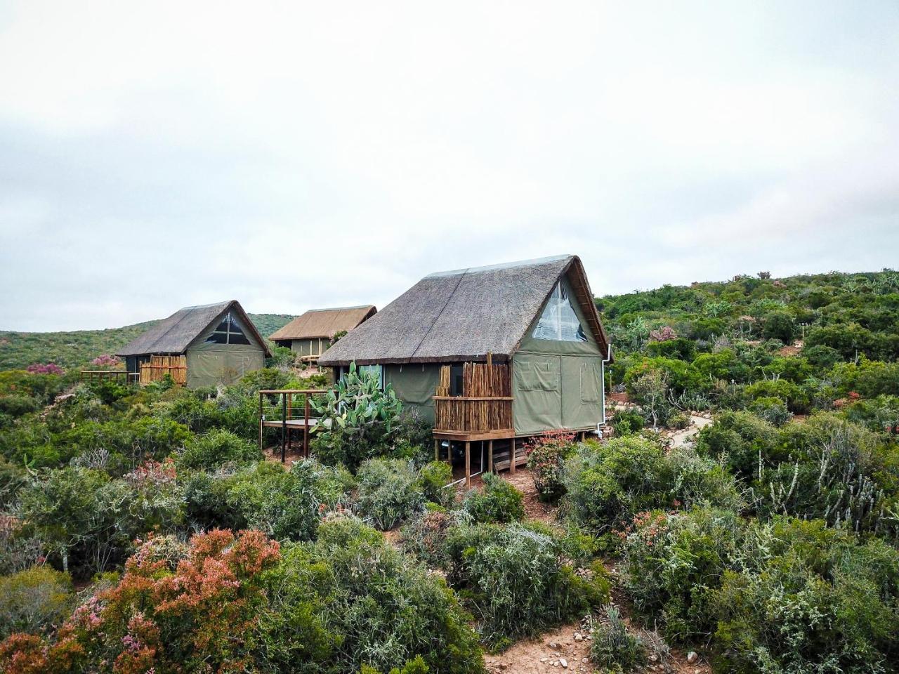 Harmony Luxury Tents & Safari Addo Exterior foto